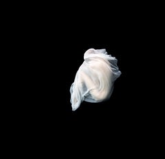 Howard Schatz Black and White Photography