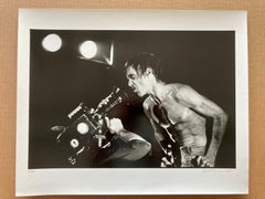 Iggy Pop "Lust For Life"
