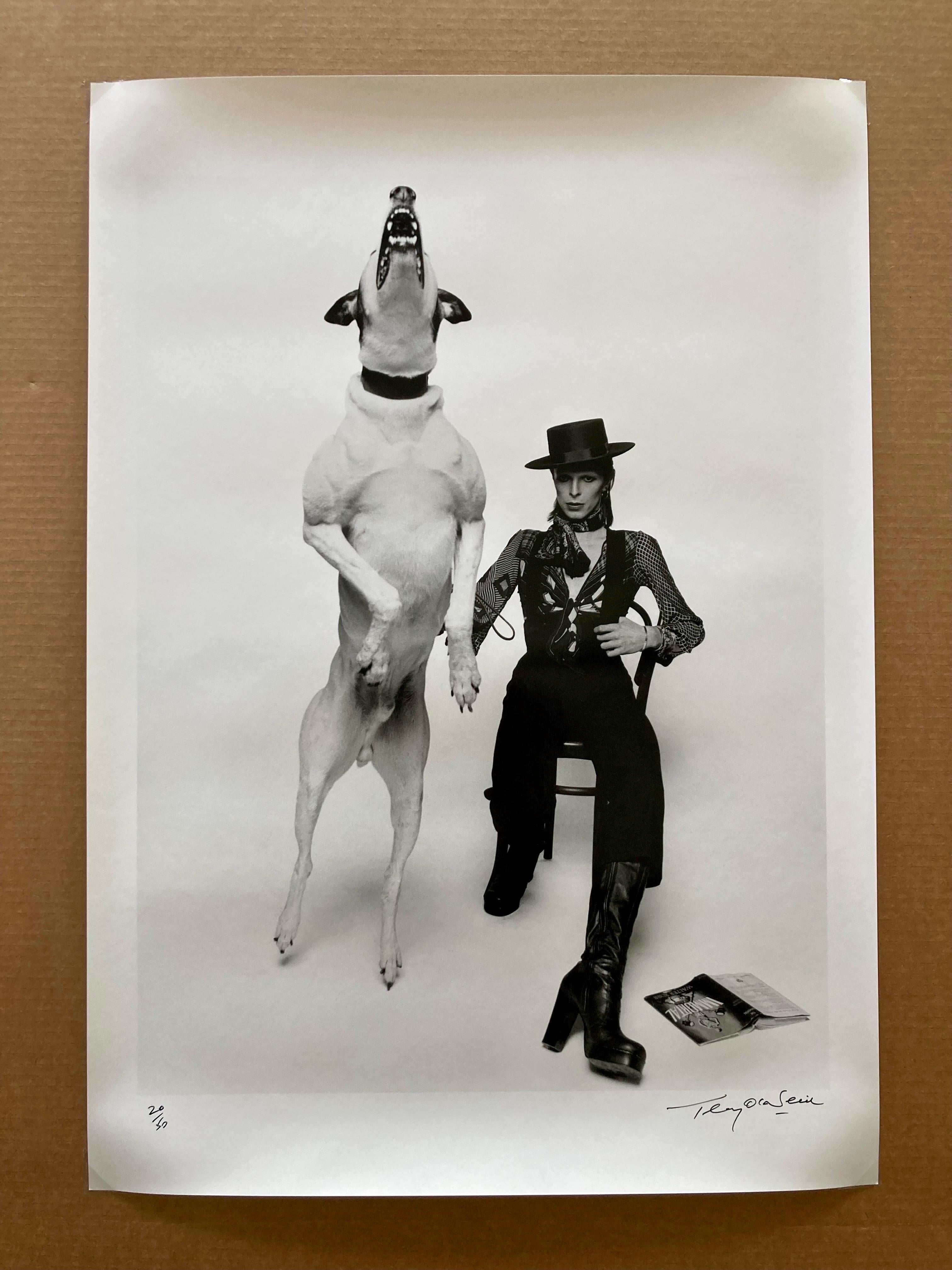 David Bowie Diamond Dogs 1974. Rare signed silver gelatin print by Terry O’Neill - Photograph by Terry O'Neill