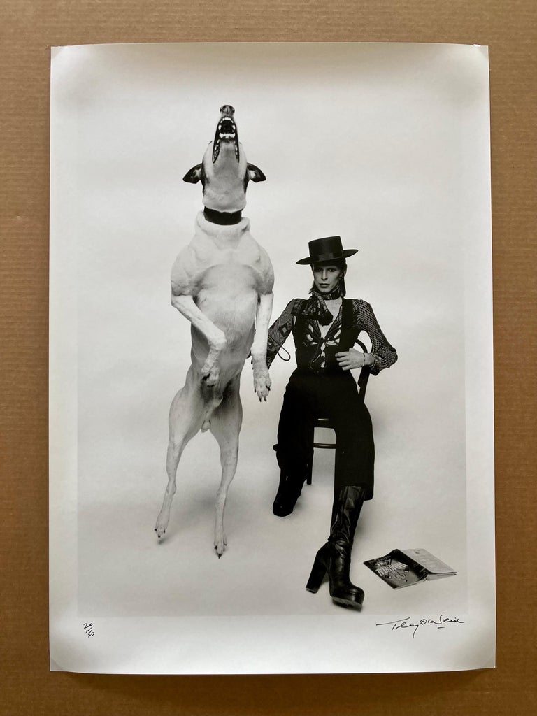 Philippe Halsman David Bowie Et Iggy Pop Terry O'Neill - David Bowie Diamond Dogs, 1974. Rare épreuve  gélatino-argentique signée par Terry O'Neill En vente sur 1stDibs