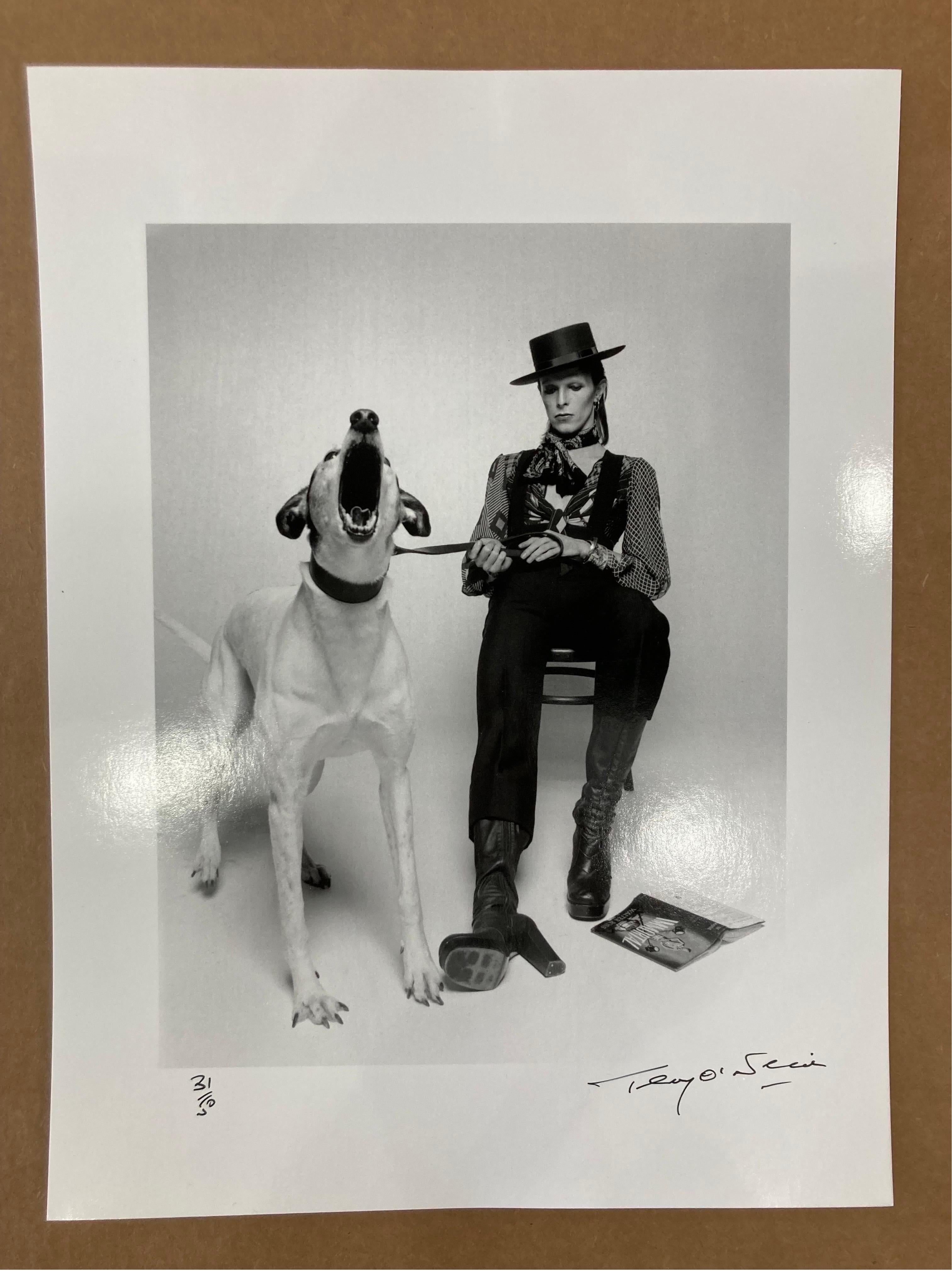David Bowie Diamant-Hunde von Terry O'Neill im Angebot 1