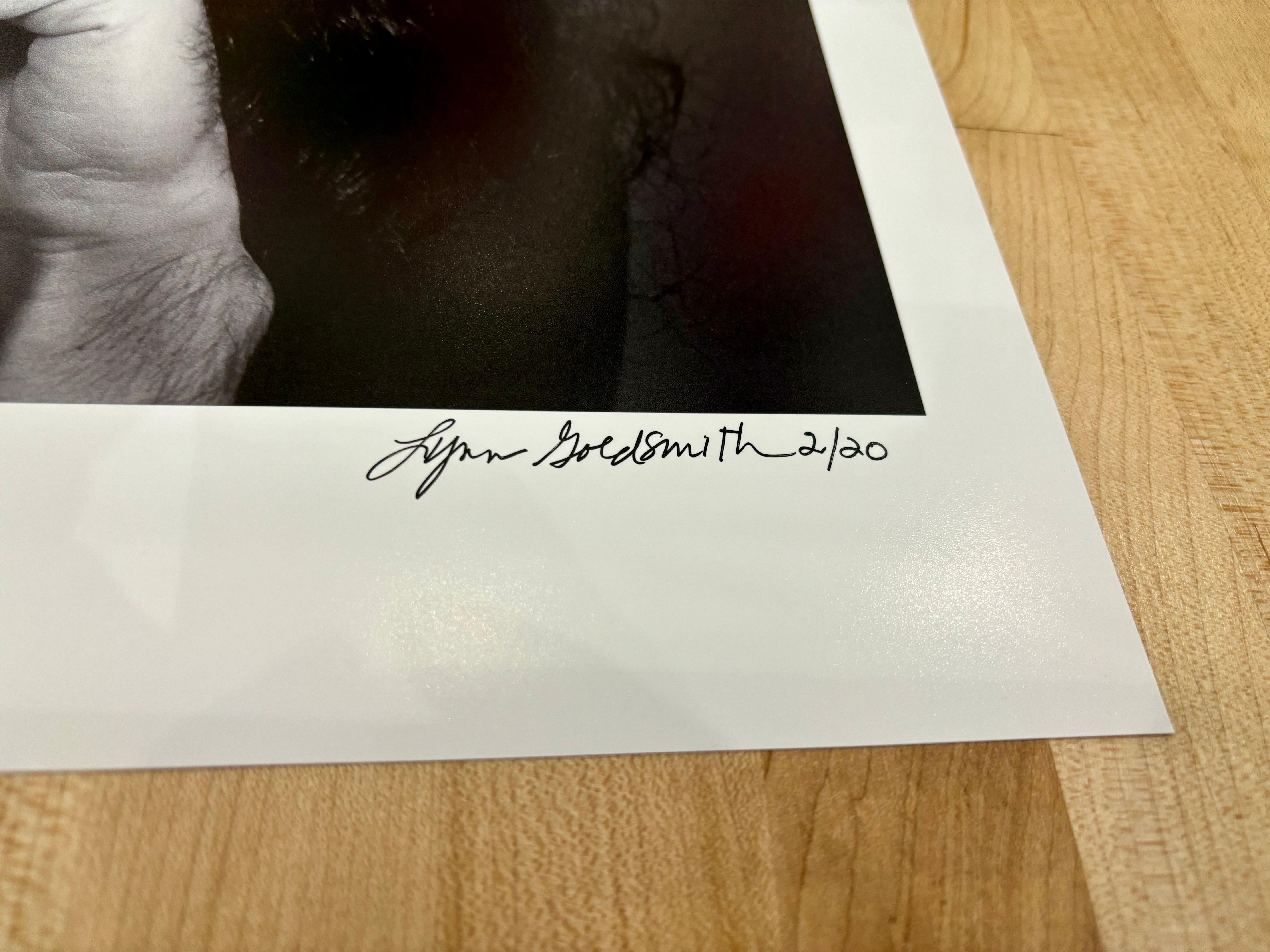 Frank Zappa von Lynn Goldsmith im Angebot 3