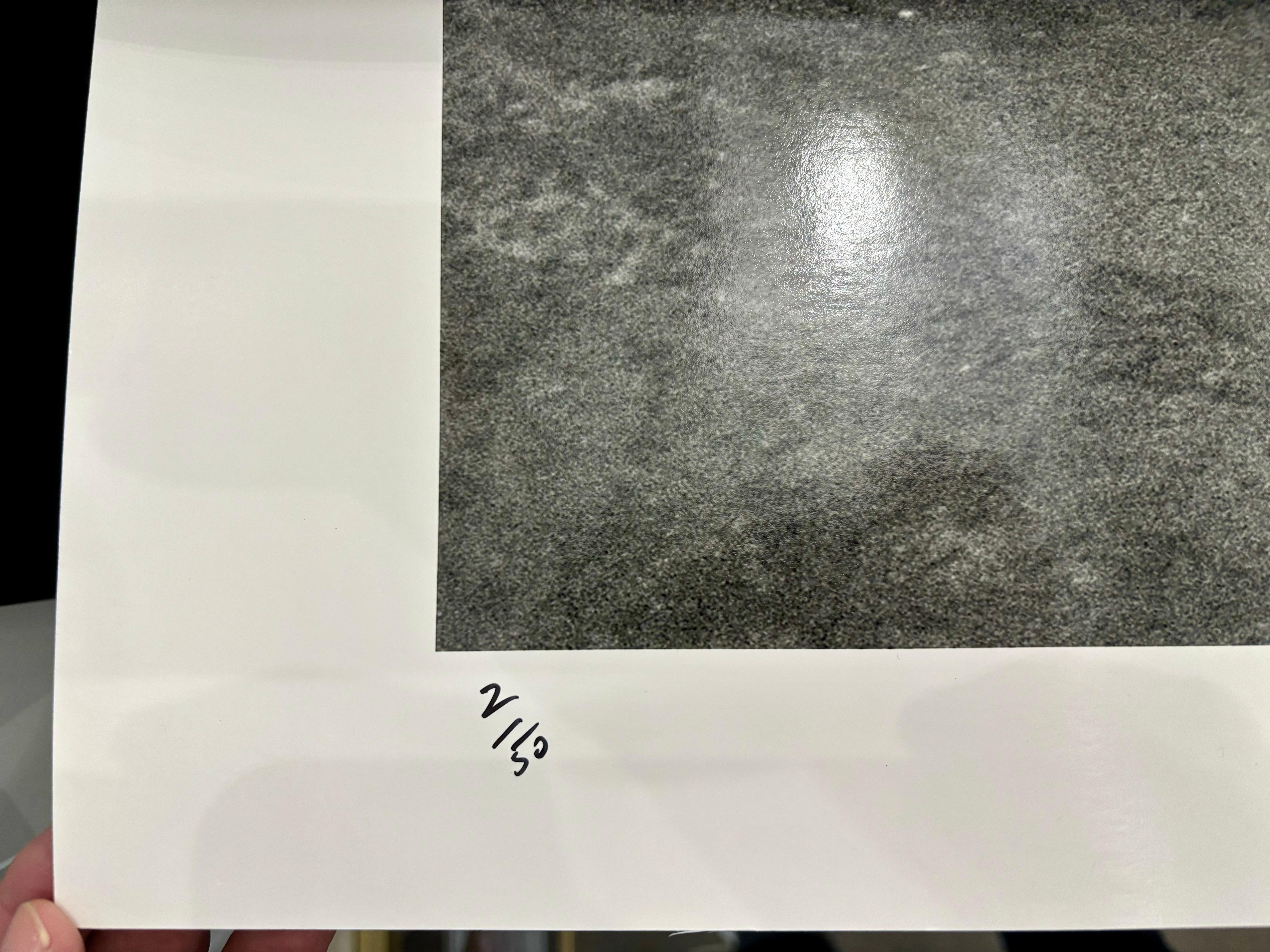 RARO 40x60