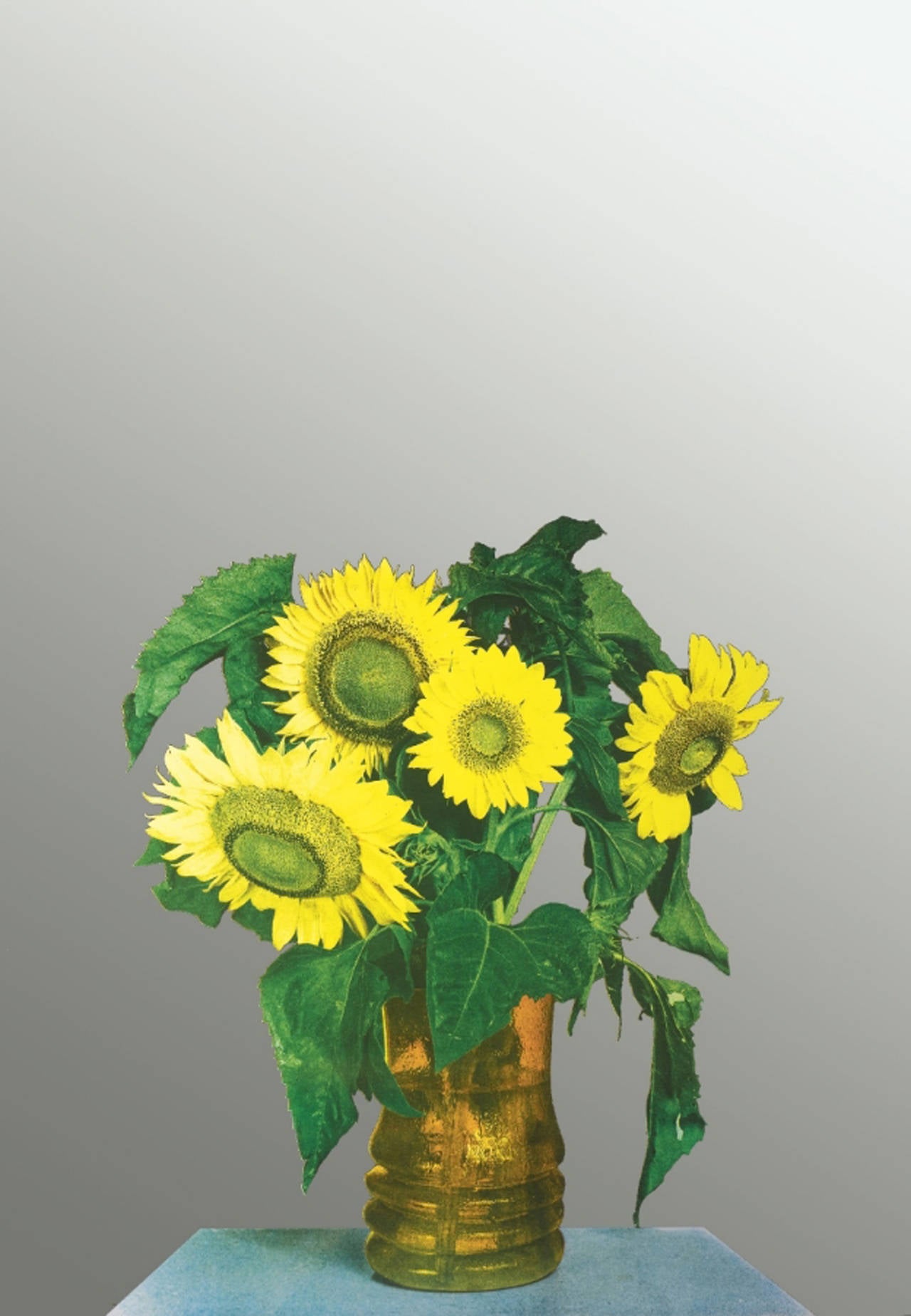 Michelangelo Pistoletto Still-Life Print - Sunflowers