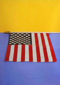 Flag (Ann Magnuson)