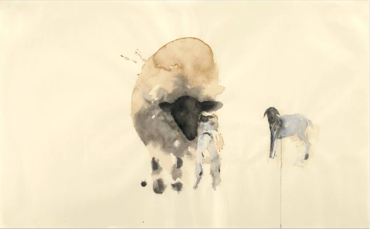 Jane Rosen Animal Print - Pescadero Lamb II, ed. 5/15