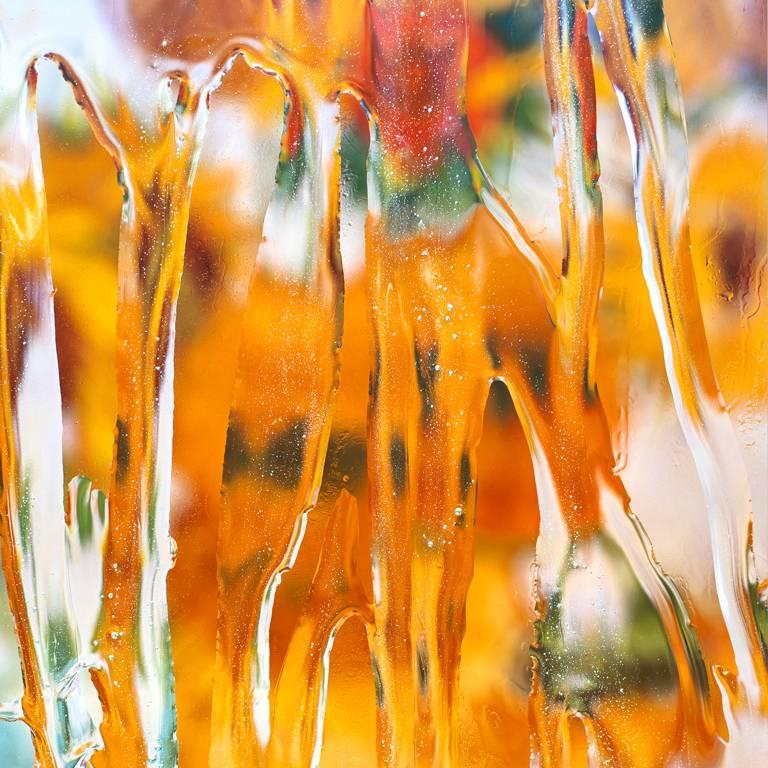 Abstract Photograph Carol Inez Charney - D'après Vincent Van Gogh : Sunflowers 1889, 2017
