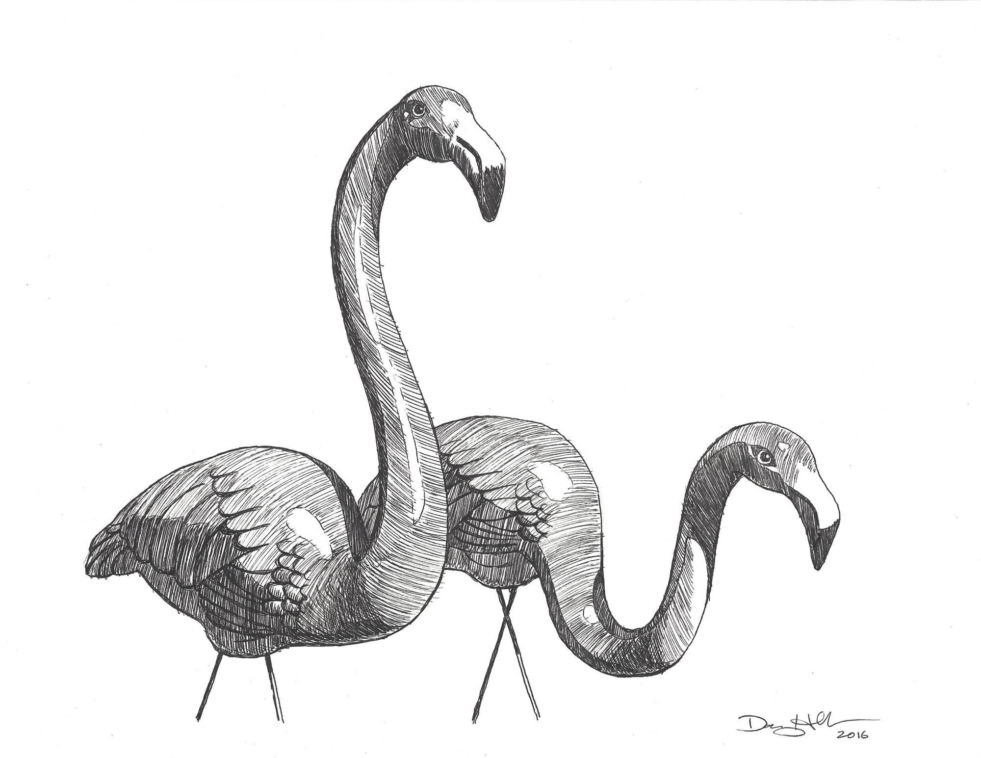 Danny Heller Still-Life - Flamingo #2