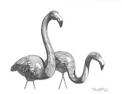 Estudio Flamingo 2