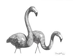 Flamingo n° 2