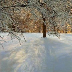 Winter Light, Framed 11