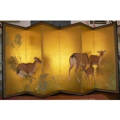 Roe deers in a bamboo forest 5