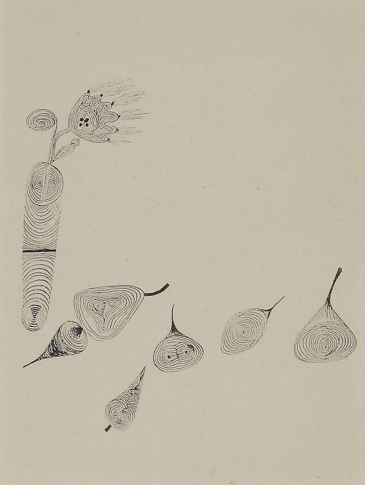 Jean Paul Klee Radierung „Blume und Frchte“