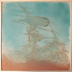 untitled 12