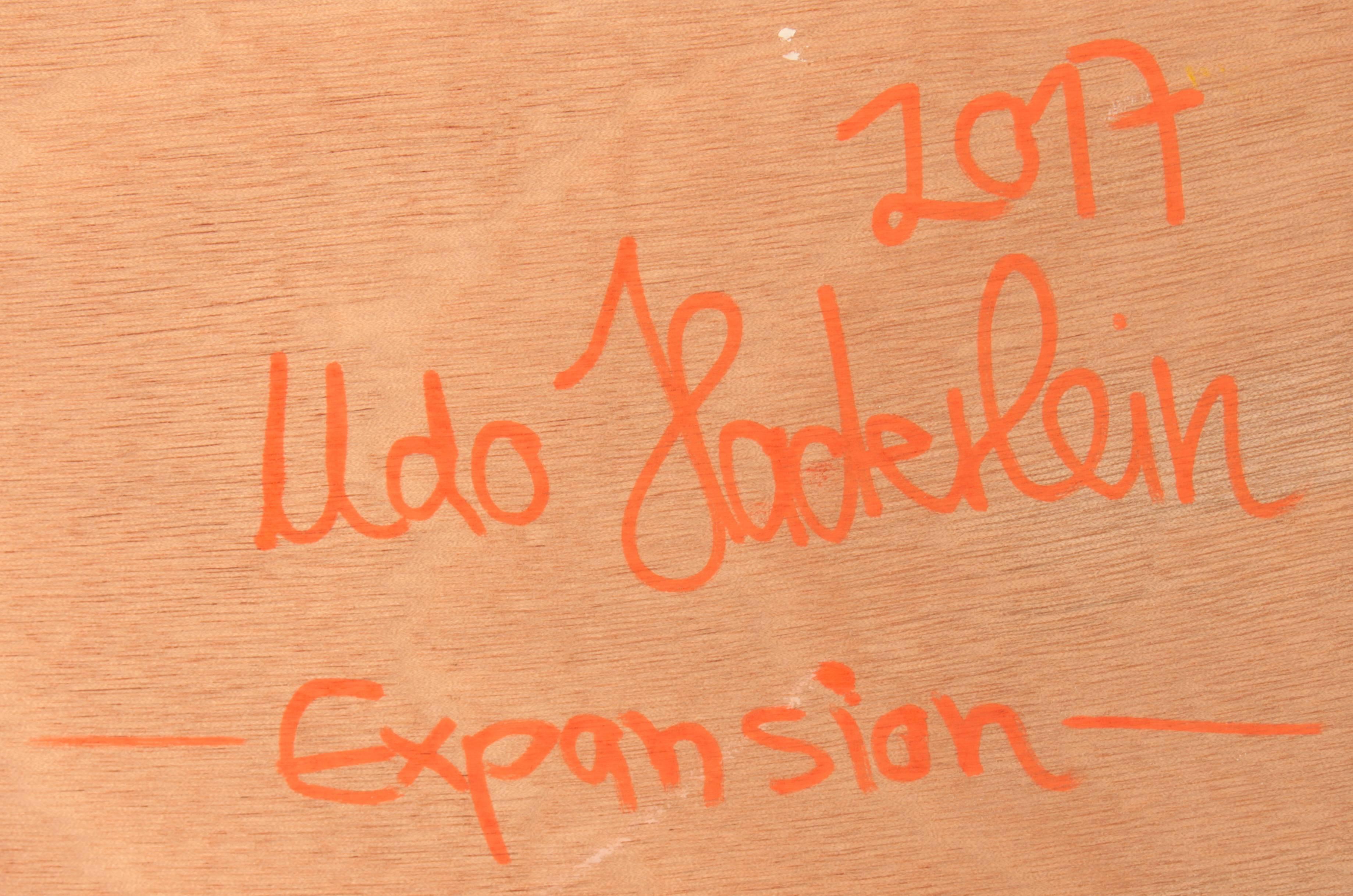 „Expansion“ Acrylfarbe und Tinte auf Holzplatte von Udo Haderlein im Angebot 4