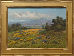 "California Poppy Fields" William Franklin Jackson, Bright Flowers, Western