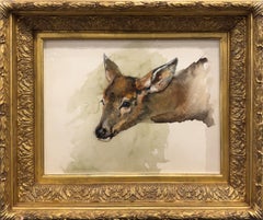 «Cervatillo de cola blanca», De Cost Smith, Animal, Ciervo, Misuri, Montana, estadounidense