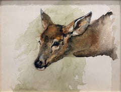 «Cervatillo de cola blanca», De Cost Smith, Animal, Ciervo, Misuri, Montana, estadounidense
