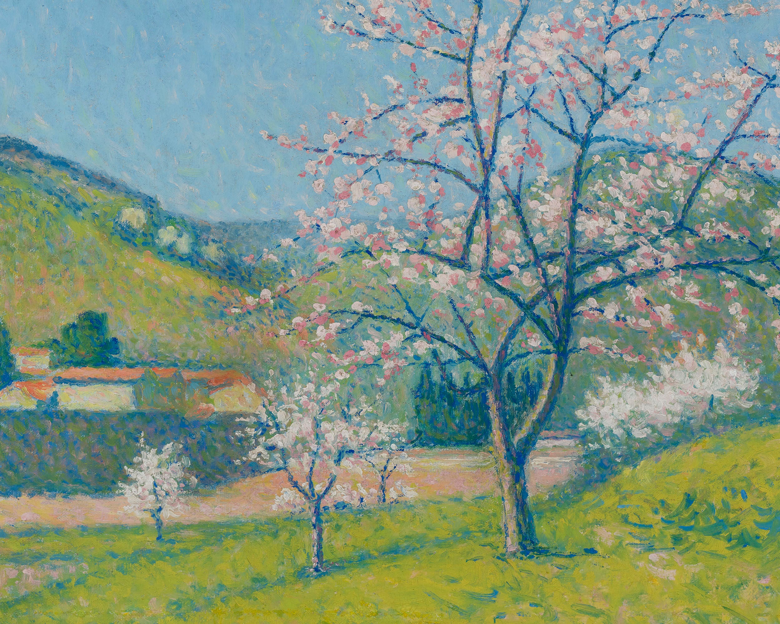 Achille Laugé Arbres En Fleur à Alet Les Bains By Achille