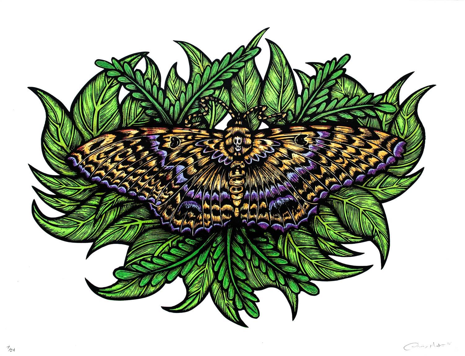 Dennis McNett Print - Black Witch Moth