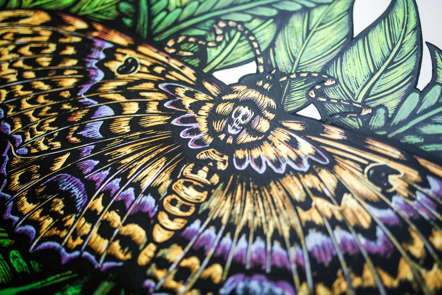 Black Witch Moth - Print by Dennis McNett