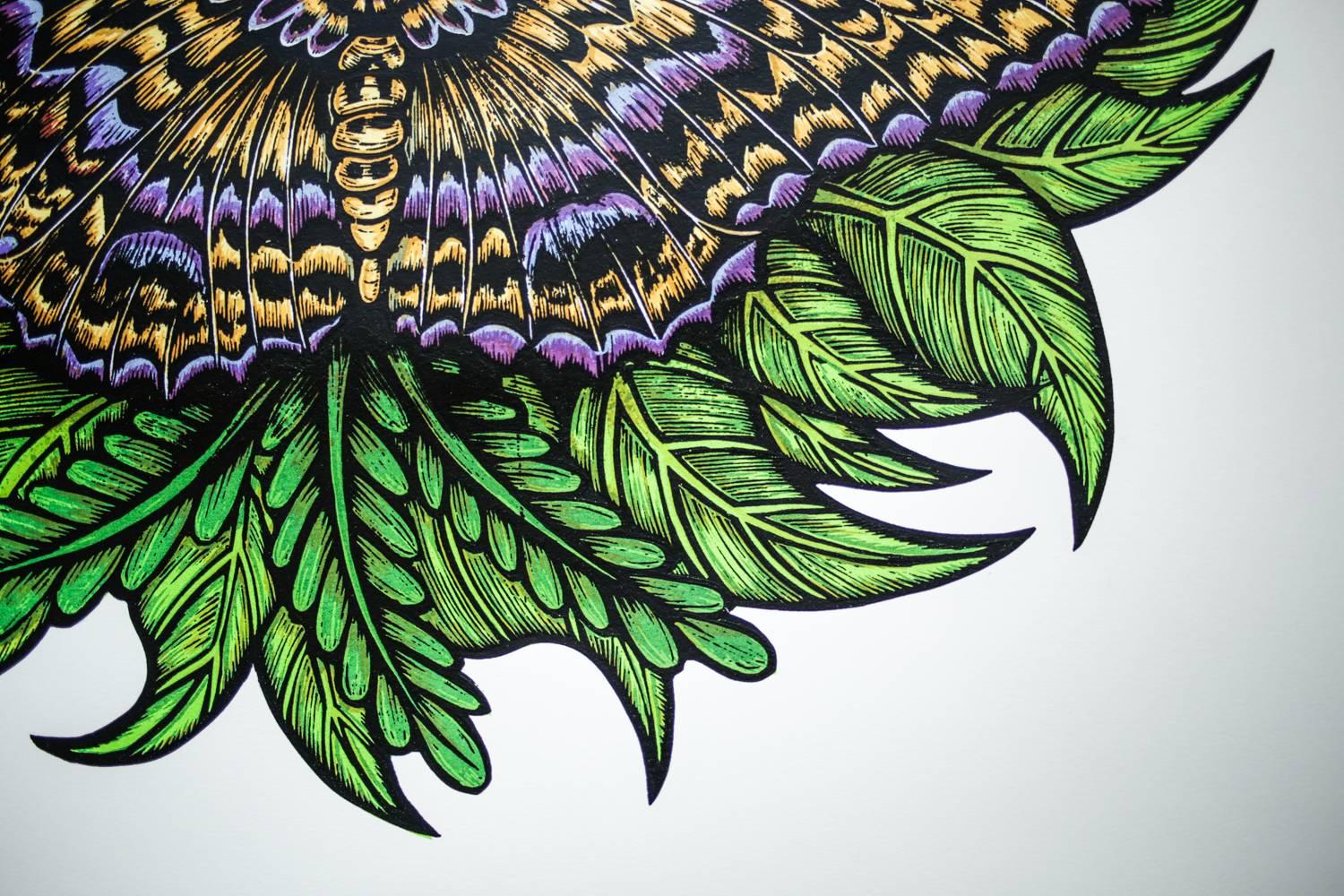 black witch moth images