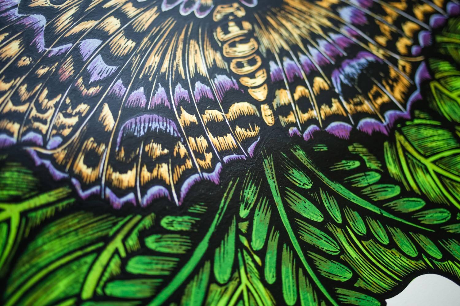 black witch moth drawing