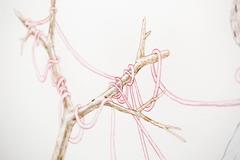 "Un discorso lontano" Natura morta, inchiostro e acquerello