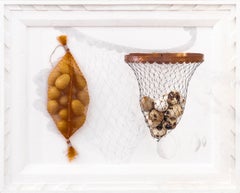 « Triptyque : Egg Bag & Insect Net » encadré assemblage d'objets trouvés, maquette suspendue