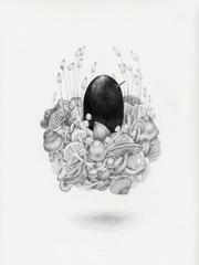 Egg 7