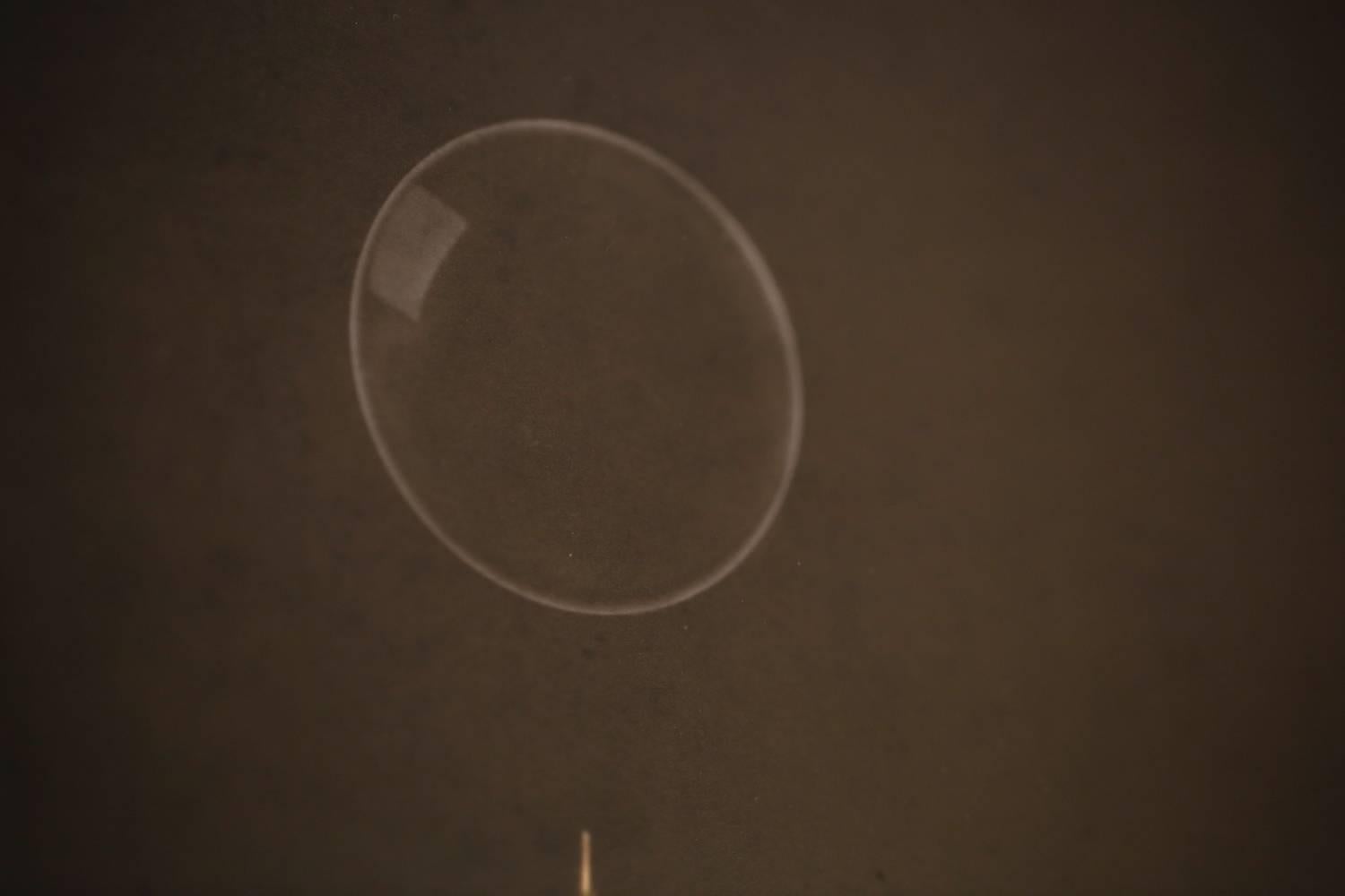 „Scrutiny“-Porträtfotografie (Zeitgenössisch), Print, von Andrew Pinkham
