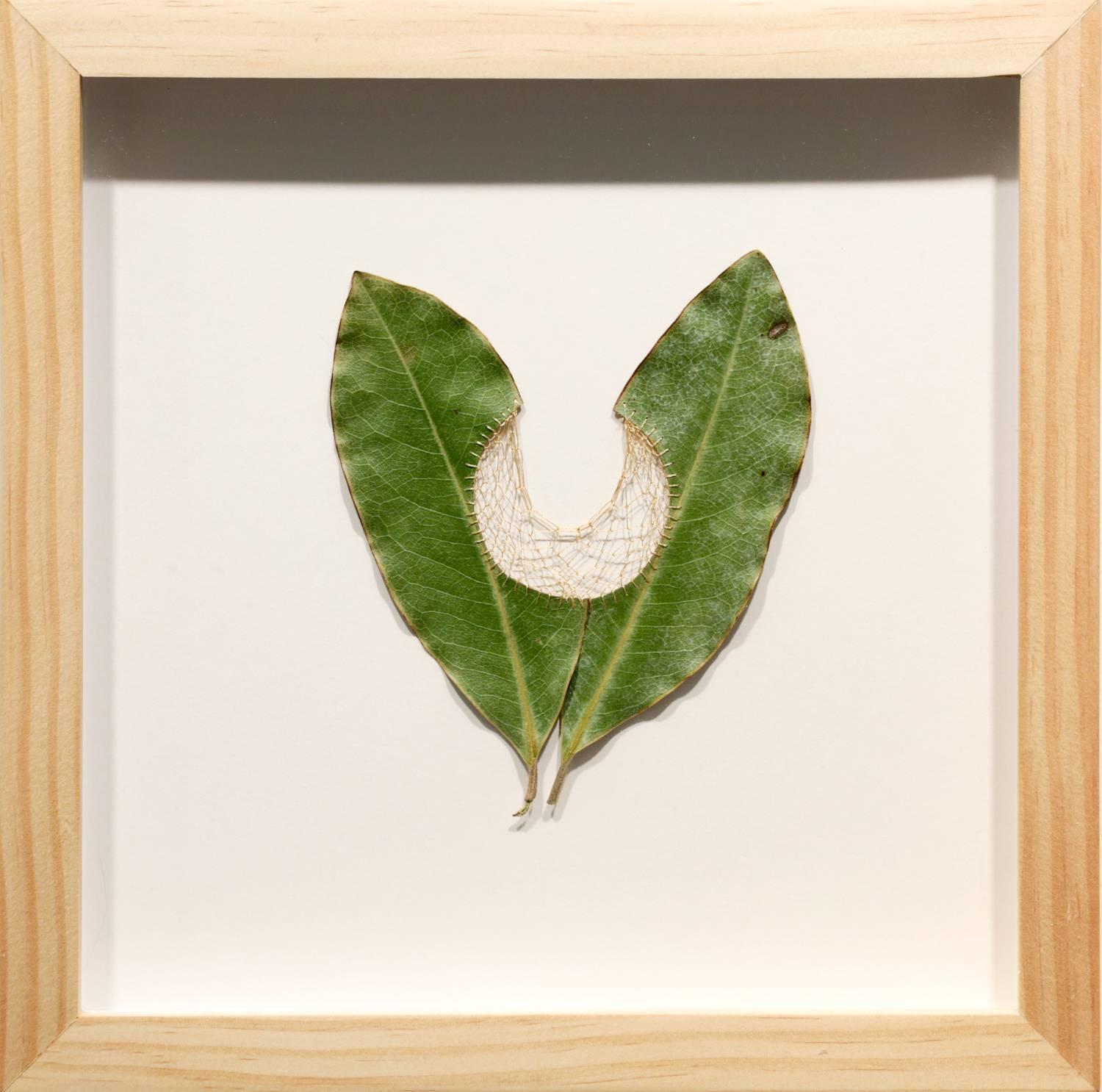 Twice As II, Embroidered Magnolia Leaves with Hand-Dyed Thread - Mixed Media Art by Hillary Waters Fayle