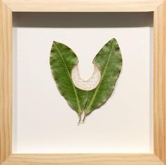 Twice As II, Embroidered Magnolia Leaves with Hand-Dyed Thread