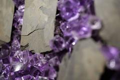 Many Many Gamma Rays Later