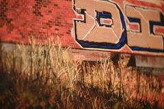 Jessica Hess, "D.I.E.", Hyper-Realistic Oil Painting of Graffiti Landscape