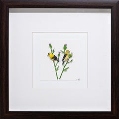 American Goldfinch Watercolor and Paper Art, Framed, 21st Century