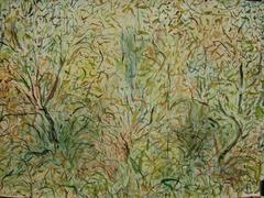 Young Ash Trees 7