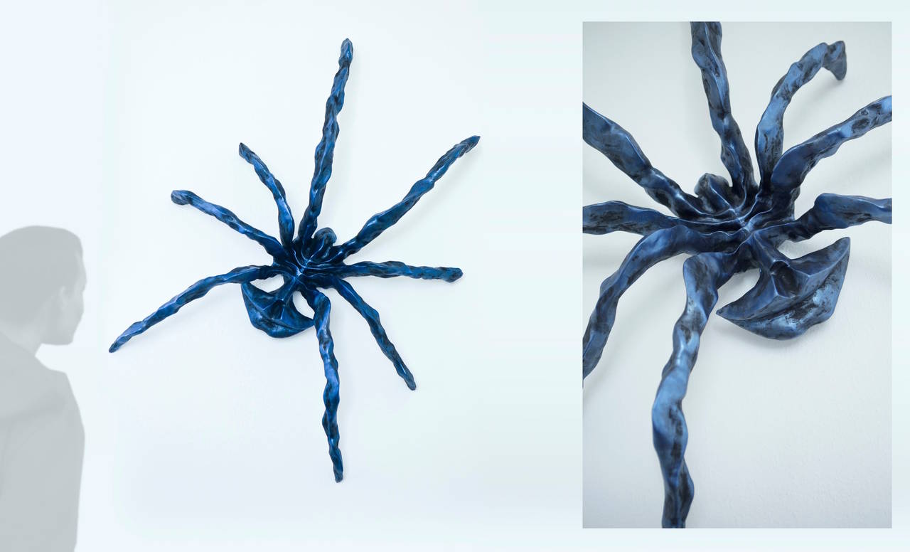 Osculum Aranea (Kiss Spider) - Art by Ap Verheggen