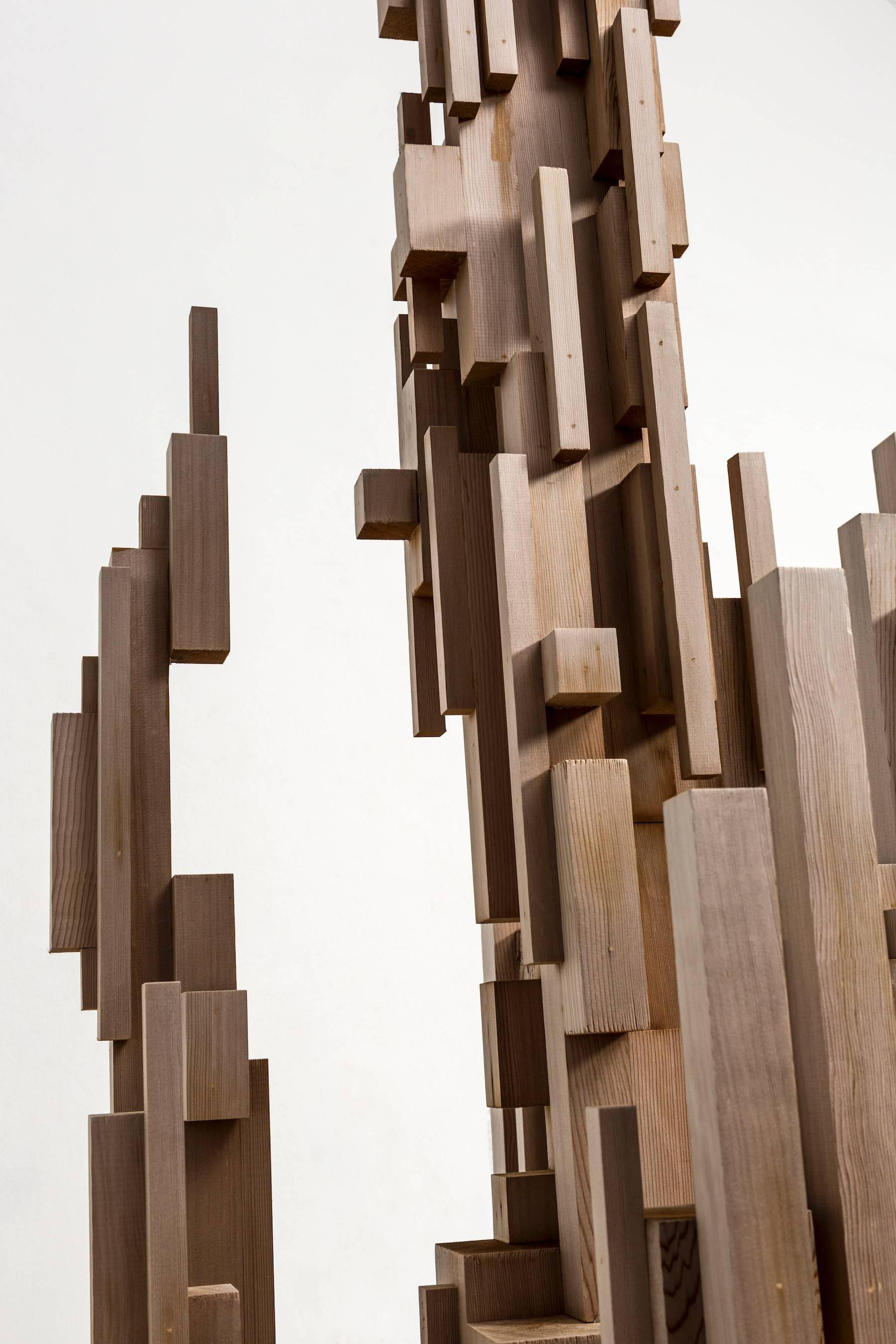 DC01: Art Meets Science - Abstract Geometric Sculpture by Ap Verheggen