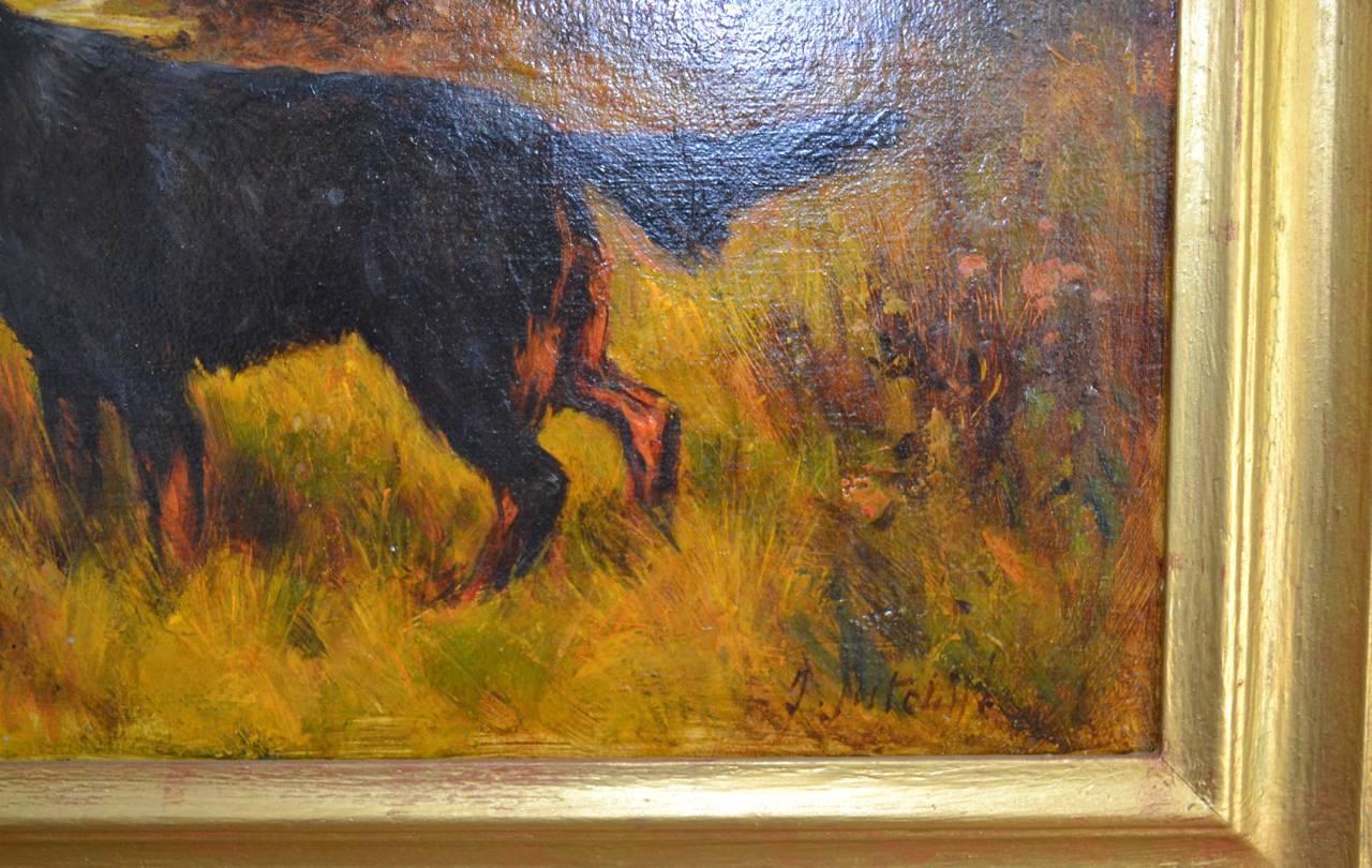 A Pair of good oil paintings on canvas portraying an Irish Setter and a Gordon Setter in Autumn sunshine on a moor.

Good condition commensurate with age in gold wood frames.

John E Sutcliffe active 1883-1894 died in 1923. Exhibited at the Royal