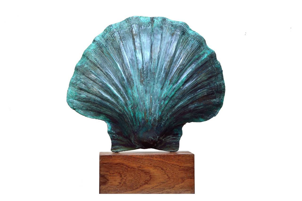 Tom Leaper Still-Life Sculpture - Scallop Shell