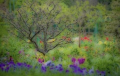 Le Jardin: Foto