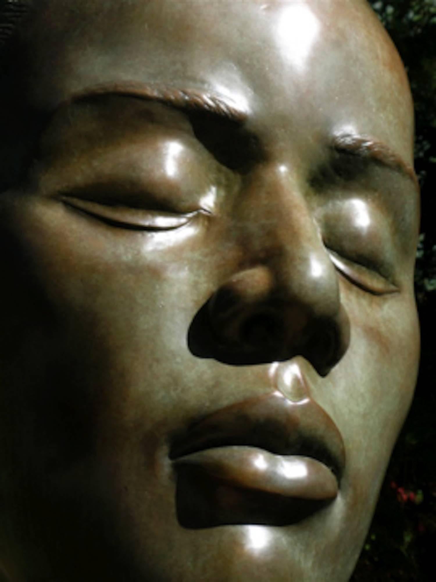 Reflections, bronze female bust sculpture contemplative peaceful Troy Williams

Sculptor Troy Williams unites the timeless and the contemporary in sculptures of rare beauty and meaning
Beyond all the narrative potential of the three obvious physical