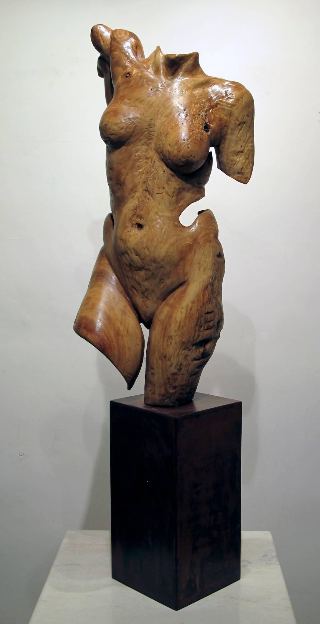 Troy Williams Nude Sculpture - Torso, female nude wood sculpture