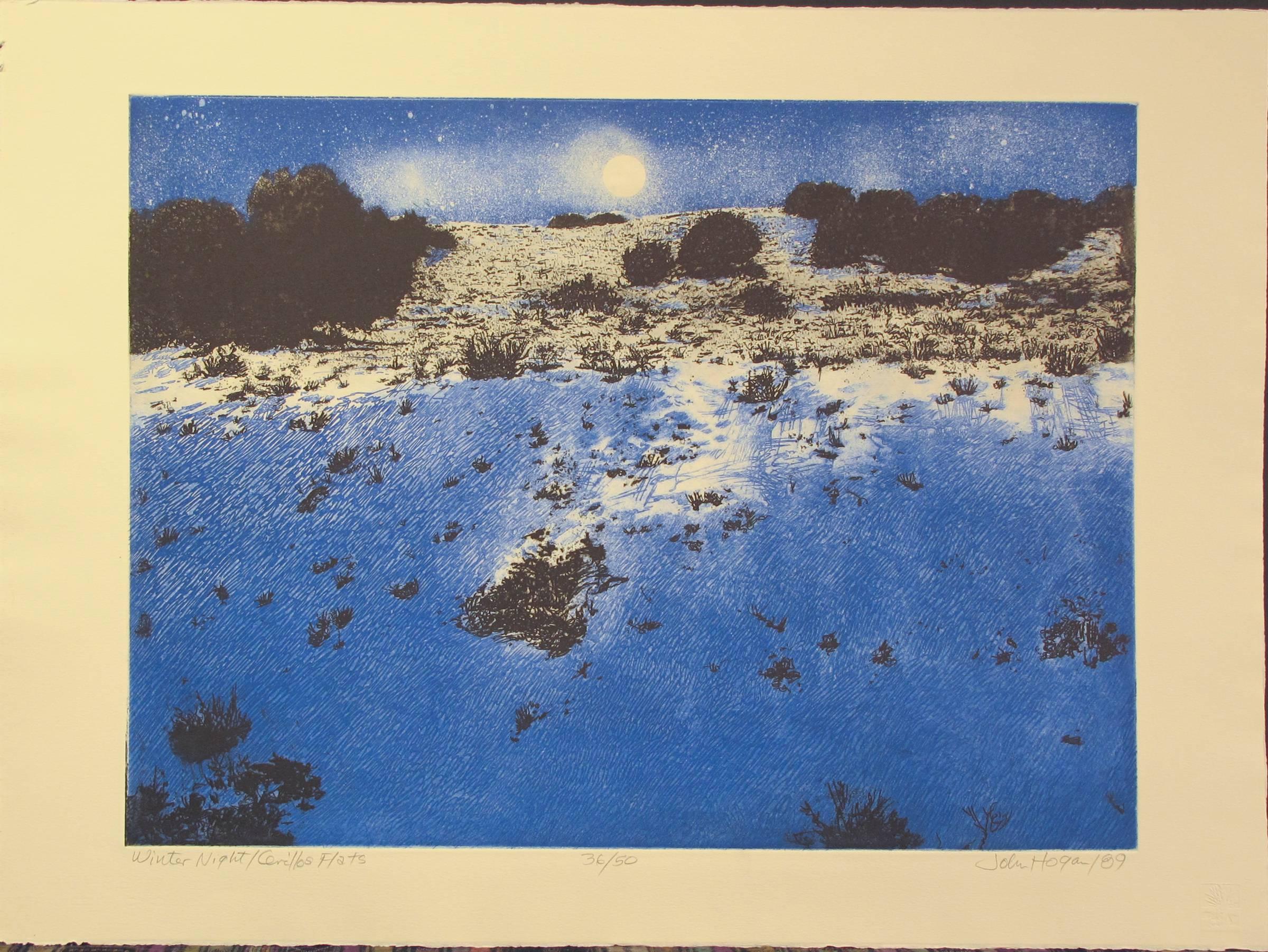 John Hogan Landscape Print - Winter Night, Cerrillos Flats