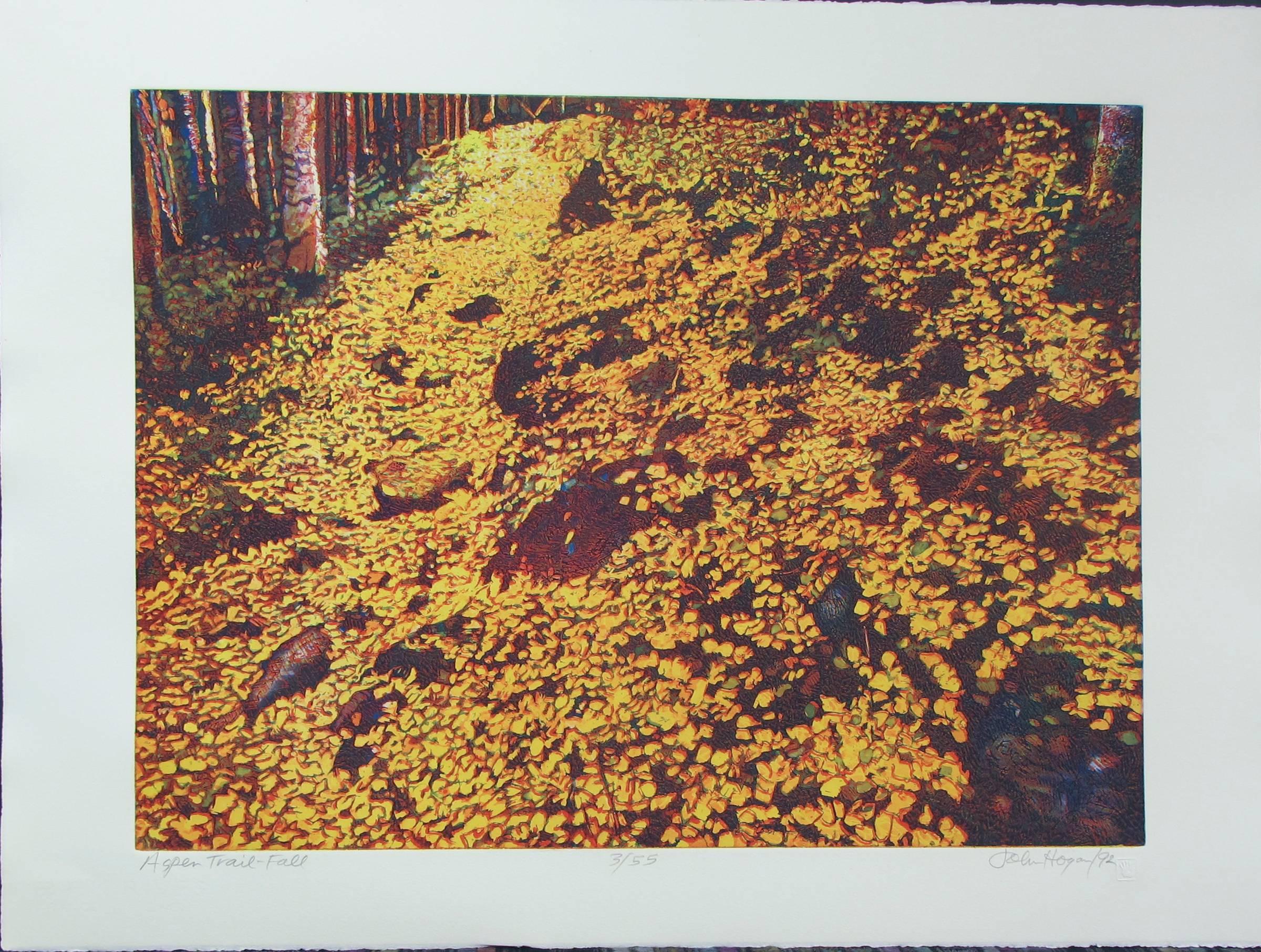 Aspen Trail- Fall, color etching,John Hogan, yellows, gold, landscape forest
hand pulled limited edition color etching 
22 x 30 paper size
18 x 24 image size
unframed
edition signed and numbered by the artist