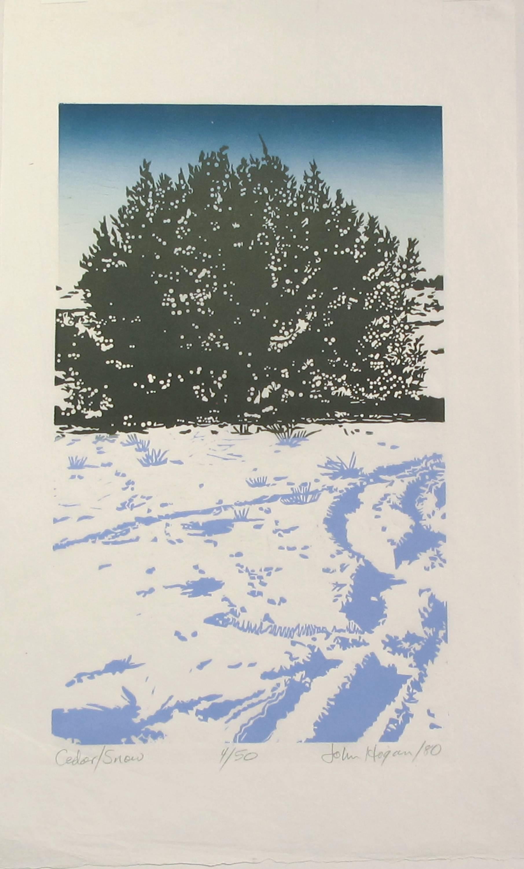 John Hogan Landscape Print - Cedar Snow, woodblock print, Santa Fe desert scene