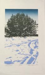Cedar Snow 10