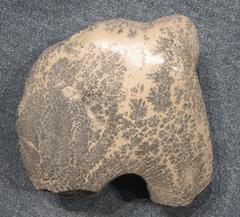 Sculpture en pierre grise buffle de Doug Hyde, petit modèle Nez Perce