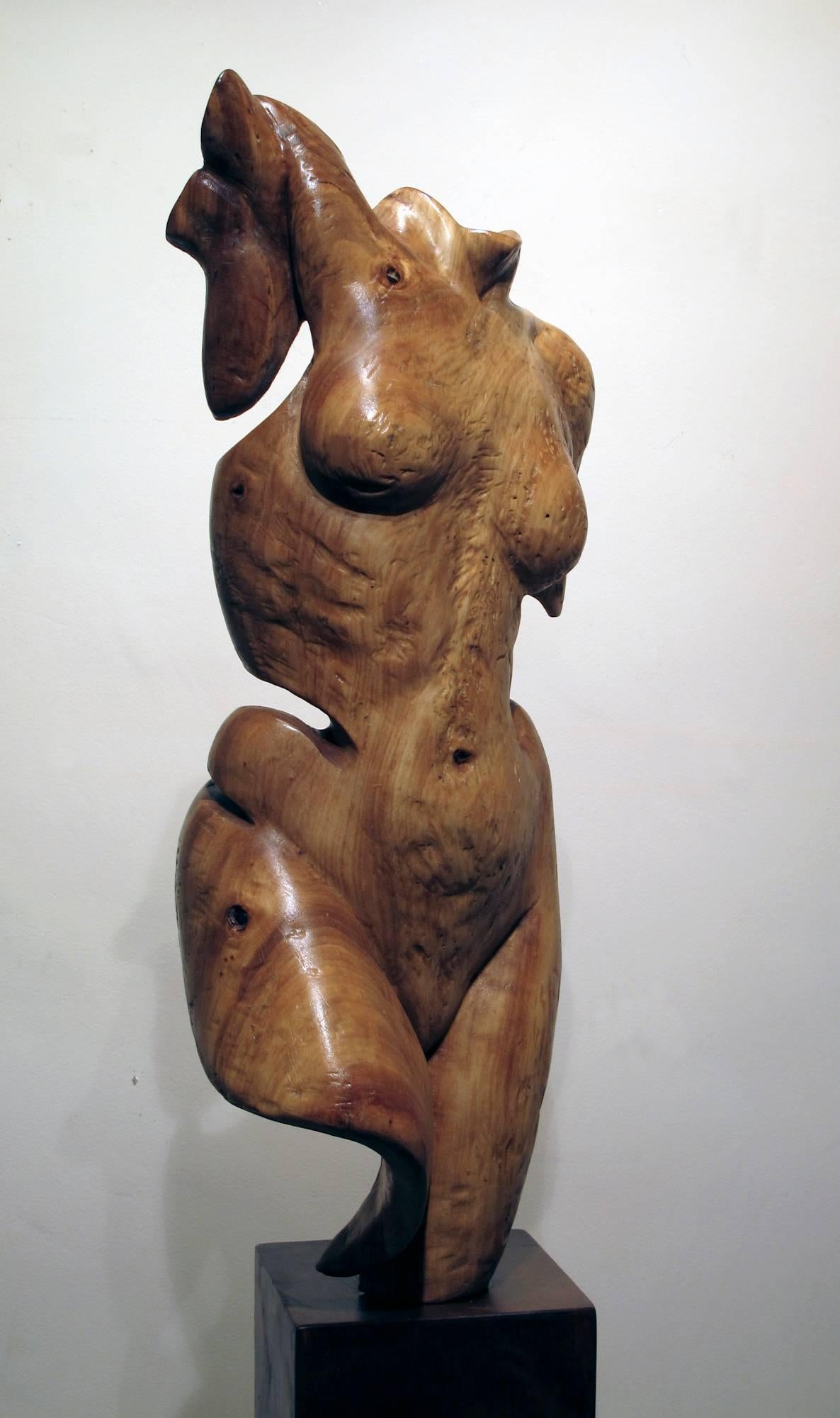 Torso, female nude wood sculpture - Sculpture by Troy Williams